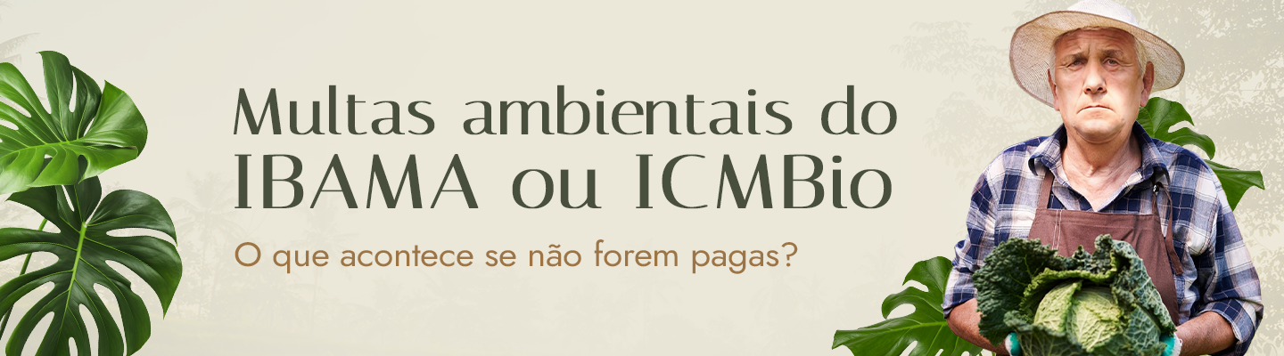 Multas Ambientais do IBAMA ou ICMBio: O Que Acontece se Não Forem Pagas?