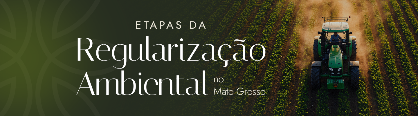 Como Regularizar seu Imóvel Rural no Mato Grosso: Passo a Passo da Regularização Ambiental
